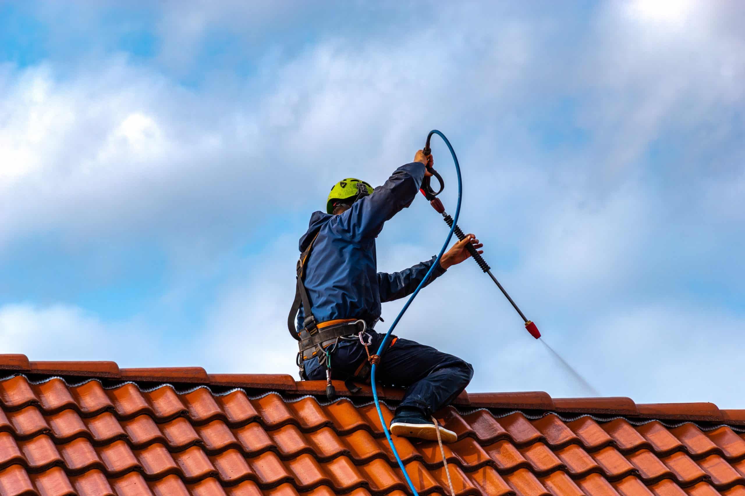 Roof Cleaning